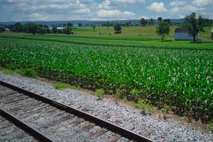 A rail line passes a corn field in Nebraska